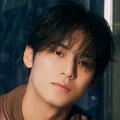 Mingyu (Seventeen)